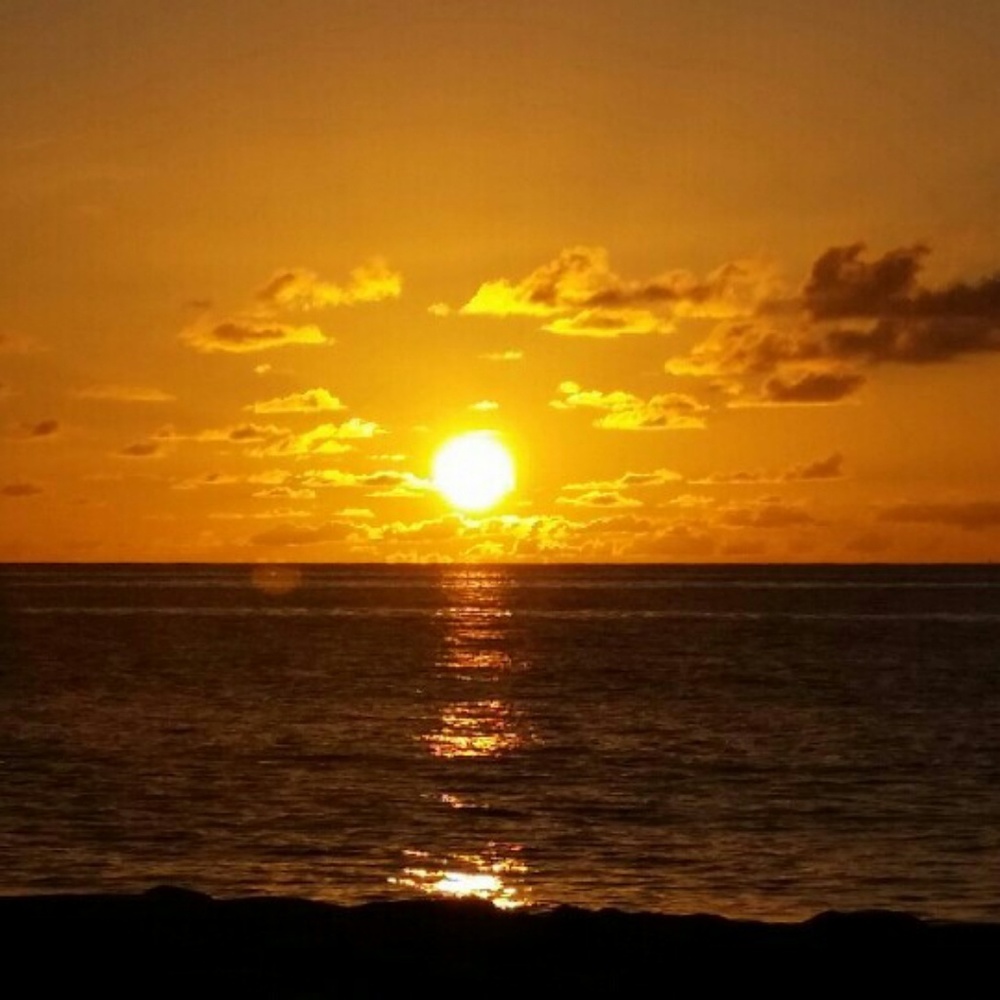 Meet your Posher, Mae